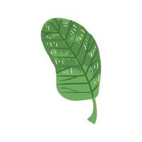 groene bladplant vector