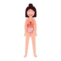 tekenfilm meisje lichaam anotomie illustratie - binnenste organen longen, lever, maag, baarmoeder, hart, intensief voor kinderen onderwijs in school- vector