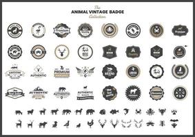 vintage badge set met flamingo en andere dieren vector