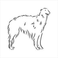hond vector schets