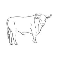 stier vector schetsen