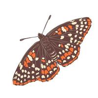 vlinder vector schetsen