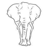 olifant vector schets