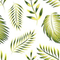 groen bladeren tropisch naadloos patroon varen en palm blad met geel kleur combinatie planten Aan wit achtergrond. strand zomer overhemd ontwerp. oerwoud afdrukken. exotisch zomer. tropisch elementen vector