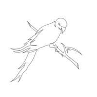 papegaai vogel staan lijn kunst tekening stijl, de vogel schetsen zwart lineair geïsoleerd Aan wit achtergrond, en de het beste papegaai vogel vector illustratie.