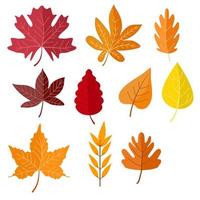 handgetekende herfstbladeren collectie vector