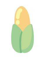 maïs groente icoon vector