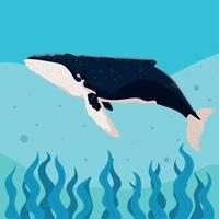 walvis zwemmen in de zee vector
