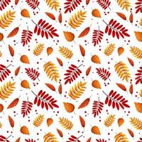 patroon met kleurrijk herfst bladeren. ideaal voor verpakking, notitieboekjes, school- benodigdheden, kinderen kleding vector