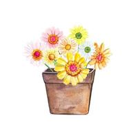 bloemen in wijnoogst pot. hand- getrokken waterverf illustratie vector