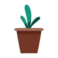 kamerplant in pot vector