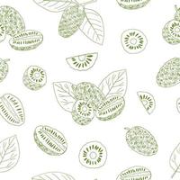 noni fruit naadloos patroon hand- getrokken tekening. , minimalisme, scandinavisch, monochroom, schetsen. behang, textiel omhulsel papier achtergrond superfood voedsel vector