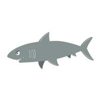 zee haai. vector illustratie Aan een wit achtergrond in tekenfilm stijl.