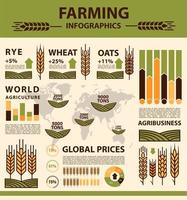 graan groeit landbouw infografieken, boerderij tarwe vector