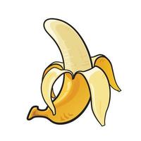 banaan tekenfilm, banaan geschild isoleren Aan wit achtergrond. vector