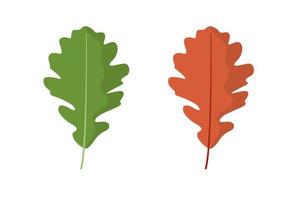 eik blad. voorjaar groen en herfst oranje. geïsoleerd vector illustratie Aan wit achtergrond