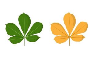 kastanje blad. voorjaar groen en herfst oranje. geïsoleerd vector illustratie Aan wit achtergrond