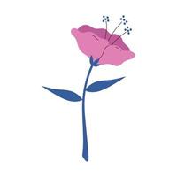 roze bloem decoratie vector