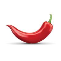 chili peper vectorillustratie vector