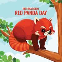 Internationale rood panda dag ontwerp concept vector