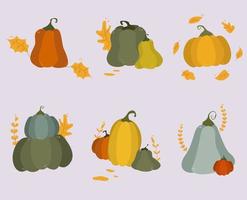 reeks van herfst oogst van pompoenen. halloween en dankzegging vector symbool.