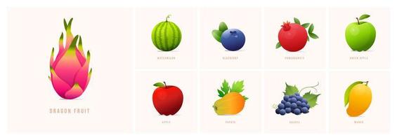 reeks van fruit, modern stijl vector illustraties. druiven, watermeloen, bosbes, granaatappel, papaja, appel, mango, groen appel, draak fruit enz.