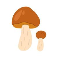 boletus edulis, vector vlak illustratie Aan wit achtergrond