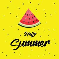 Hallo zomer woord met fruit, watermeloen. vector illustratie in vlak stijl