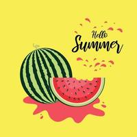 Hallo zomer woord met fruit, watermeloen. vector illustratie in vlak stijl