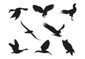 Vogelsilhouet collecties vector