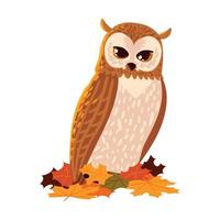 uil en herfst blad vector