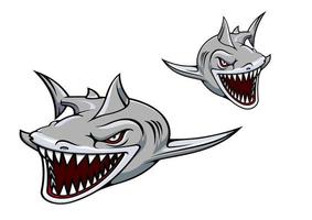 grijs haai mascotte vector