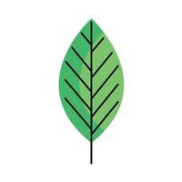 ecologie blad plant vector