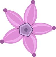 penta's bloem vector illustratie voor grafisch ontwerp en decoratief element