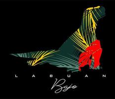 Labuan bajo eiland vector