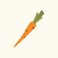vector illustratie van een oranje wortel met stengels in een tekenfilm stijl. tekening van een groente voor app ontwerp of reclame of afdrukken.