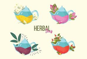 kruiden thee set. vector illustratie van theepot met doornstruik BES en kamille bloemen thee. drinken van vlierbessen en rozenknopjes. tekening van thee voor verpakking of reclame