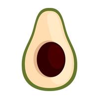 avocado verse groente vector