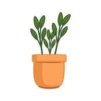 kamerplant in klassiek pot vector