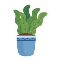 kamerplant met blauw pot vector