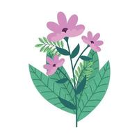 Purper bloemen tuin decoratie vector