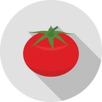 tomaat vlak lang schaduw icoon vector