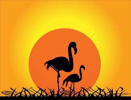 flamingo Aan zon achtergrond zonsondergang decoratie vector