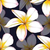 naadloos patroon bloemen met frangipani bloemen abstract achtergrond.vector illustratie hand- getekende.stof textiel afdrukken ontwerp vector