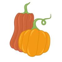 seizoensgebonden herfst oranje pompoen vlak vector geïsoleerd illustratie