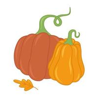 seizoensgebonden herfst oranje pompoen vlak vector geïsoleerd illustratie