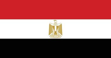 Egypte vlag met origineel rgb kleur vector illustratie ontwerp