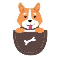 schattig blij corgi met poten en tong in een zak. vector karakter in een vlak schattig stijl. het is perfect voor de ontwerp van een t-shirt, een poster of voor reclame huisdier