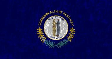 Kentucky staat grunge vlag. vector illustratie.