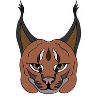 caracal hoofd illustratie, sport mascotte of team logo in vlak stijl. tekenfilm beeld in vector grafiek.